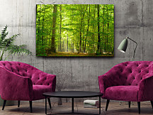 Obraz Krása lesa zs1140